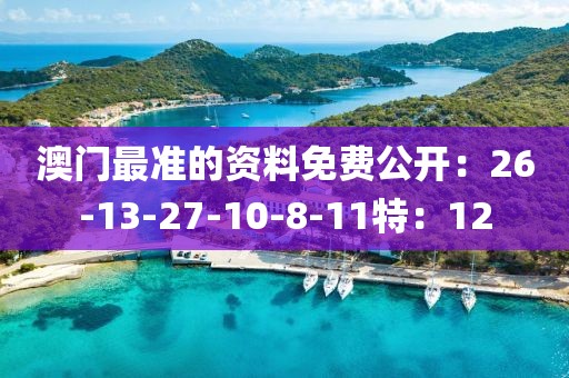 澳門最準的資料免費公開：26-13-27-10-8-11特：12