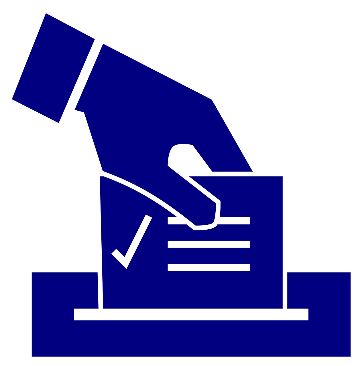 美國大選最新選況，投票到計票的緊張角逐過程
